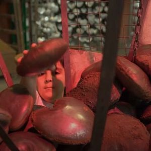 Foto La Sociedad del Afecto