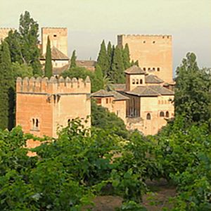 Foto Me Acuerdo Perfectamente