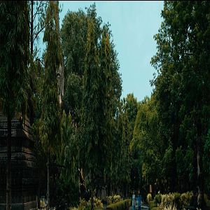 Foto The Observer′s Journal