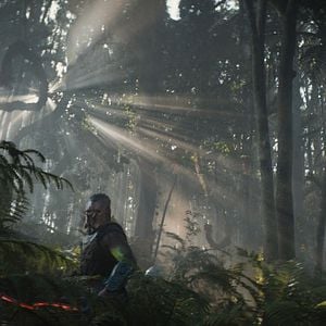 Foto Dimitrius Schuster-Koloamatangi