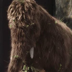 Foto Mamut: El regreso de los dinosaurios