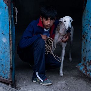 Foto Ciudad sin sueño