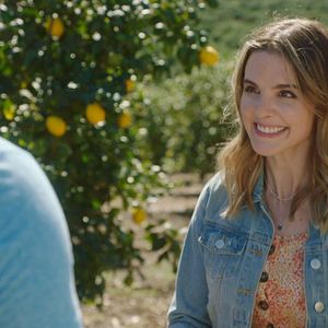 Foto Love Under the Lemon Tree