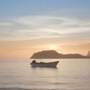 Foto El llanto de las tortugas