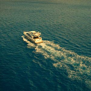 Foto El Robo Perfecto: Pantera