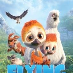 Foto Ploey: Cabeza de chorlito