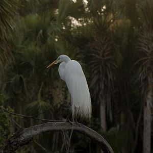 Foto Laguna