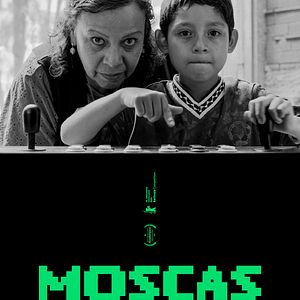 Foto Moscas