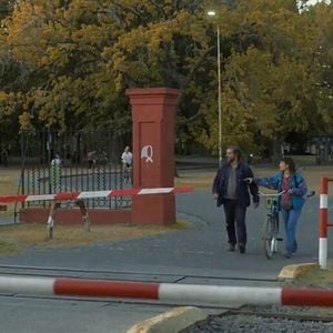 Foto El aroma del pasto recién cortado