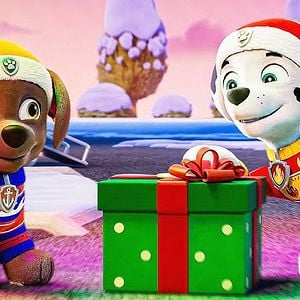 Foto Paw Patrol Especial De Navidad