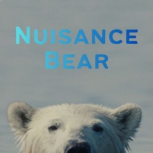 Foto Nuisance Bear