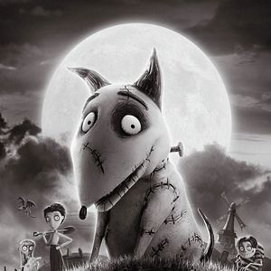 Foto Frankenweenie