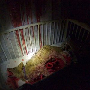 Foto 911 llamada infernal