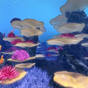 Foto El Arrecife Encantado: Kaluoka'hina