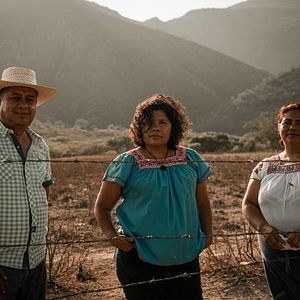 Foto Las hijas del maguey