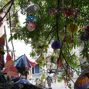 Foto Ms. Hu's Garden