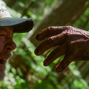 Foto De Naturaleza Violenta