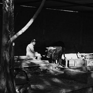 Foto Los amantes se despiden con la mirada