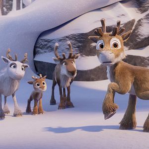 Foto Niko: La aventura de las narices frías