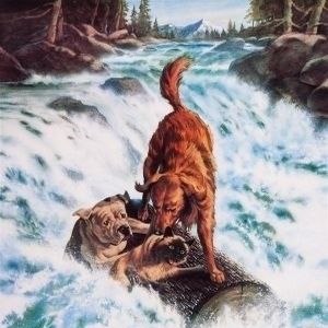 Foto De vuelta a casa. Un viaje increíble