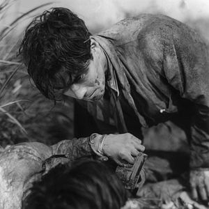 Foto El perro rabioso