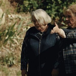 Foto Cuando llega el otoño