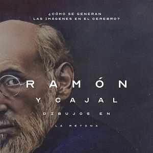 Foto Ramón y Cajal: Dibujos en la retina