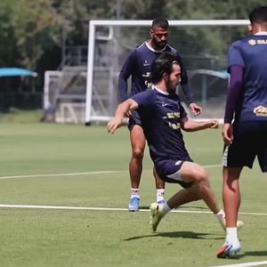 Foto Puma desde la cuna