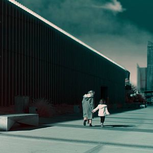 Foto El crepúsculo de las especies