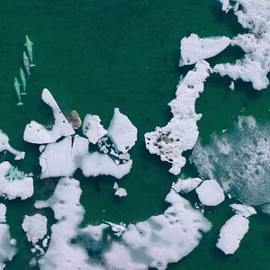 Foto Nuestros océanos