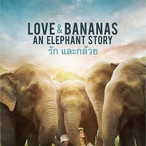 Foto Love & Bananas: An Elephant Story