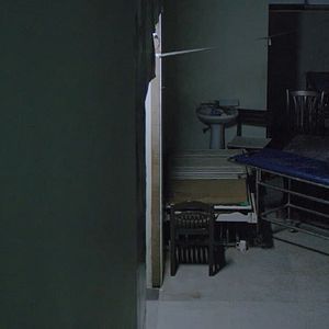 Foto What Happened to the Wolf?