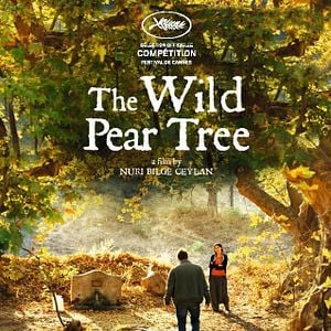 Foto El peral silvestre