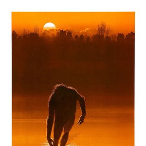 Foto The Legend of Boggy Creek