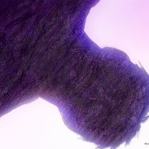 Foto Miss Kobayashi's Dragon Maid: Un dragón solitario desea que lo quieran
