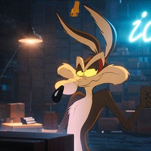 Foto Coyote vs. ACME