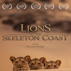 Foto Lions of the Skeleton Coast