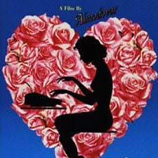 Foto La flor de mi secreto