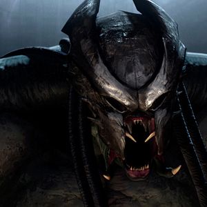 Foto Depredador: Cazador de asesinos