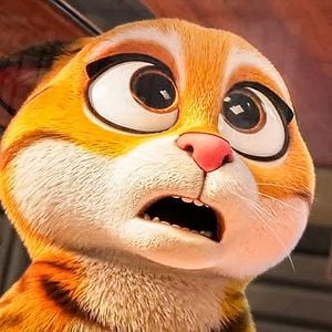 Foto Mascotas al rescate