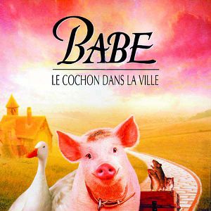 Foto Babe, el cerdito en la ciudad