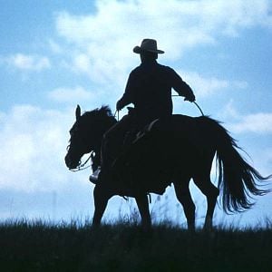 Foto El señor de los caballos