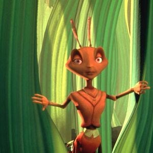 Foto Antz: Hormiguitaz