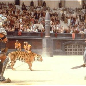 Foto Gladiador