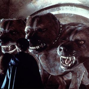 Foto Harry Potter y la piedra filosofal