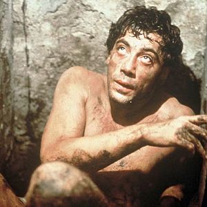 Foto Antes que anochezca