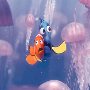 Foto Buscando a Nemo