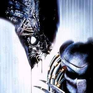 Foto Alien vs. Predator