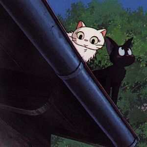 Foto Kiki entregas a domicilio