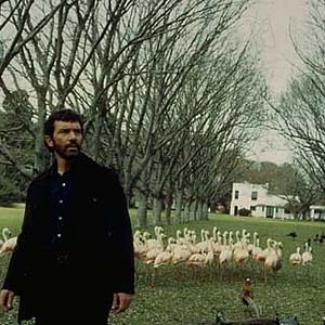 Foto Imagining Argentina